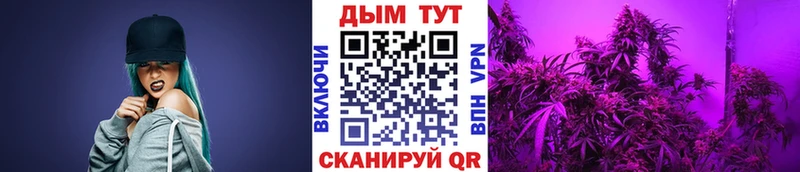 Виды наркоты Кемерово A PVP  ОМГ ОМГ как войти  Каннабис 