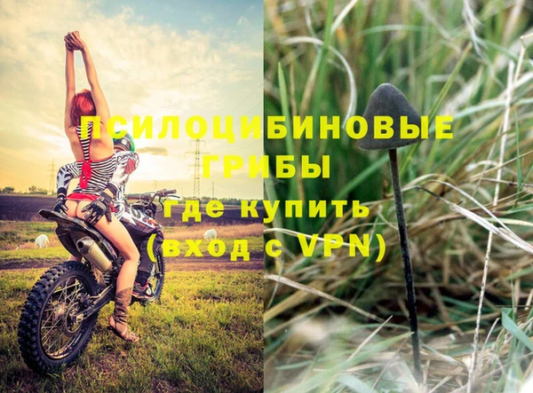 эйфоретик Белокуриха