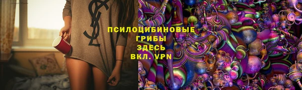 молекула духа Балахна