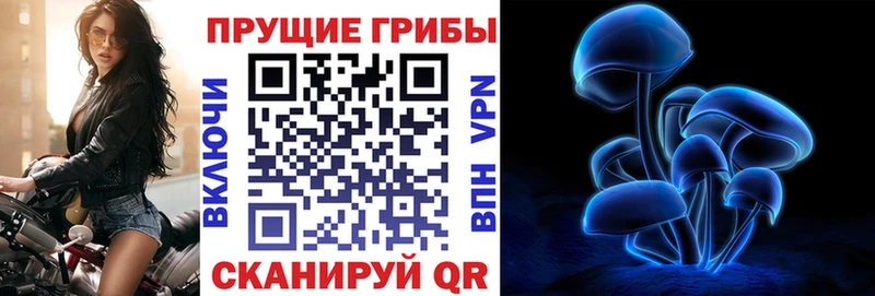 Галлюциногенные грибы Magic Shrooms  Кемерово 